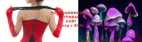 каннабис Дмитровск